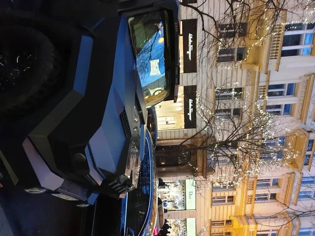 Prombron Black Stallion